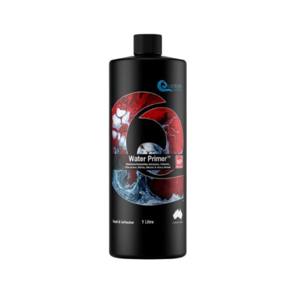 Quantum Water Primer