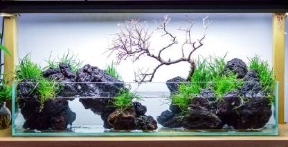 Red Lava Rocks – Aquarium Hobby